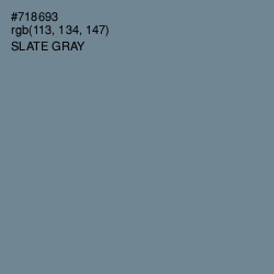 #718693 - Slate Gray Color Image